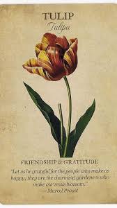Pin By Ariana On Plant Symbolism Botanical Flowers Language Of Flowers Flower Meanings