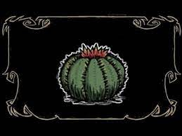 Here is my guide to don't starve and reign of giants. Cactus Guide Quickie Don T Starve Together Youtube