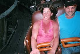 There's a roller coaster themed to shrek?! 19 Of The Funniest Roller Coaster Pictures Ever Taken