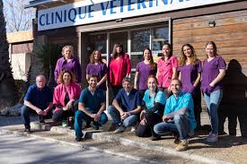 Clinique Veterinaire Sainte Claire