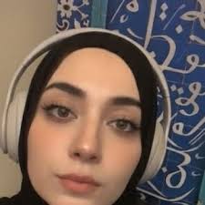 Muhammad Shaaban (@mamlukist)