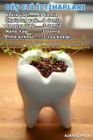 Dis Eti Iltihabi Tedavisi 2020 Dogal Saglik Saglikli Yasam Tarzi Saglik Ipuclari