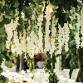 Whangamata Lunch en Blanc event image
