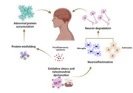 Biomarkers in neurodegenerative diseases: a broad overview
