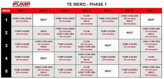 Weider X Factor Workout Chart Pdf Sport1stfuture Org