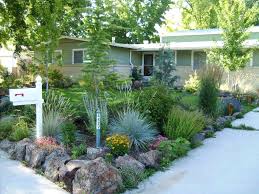 Xeriscape plants are drought tolerant, often easy to maintain, and very green. Pin By Mikki Williams On Beautiful Gardenscapes Xeriscape Landscaping Xeriscape Front Yard Small Front Yard Landscaping