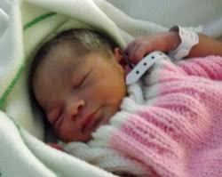 2012 Tristan da Cunha Family News