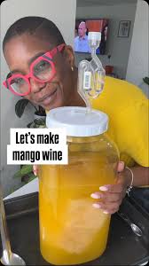 🥭 First up in the mango series: Mango Wine! (Part 1 of 2), I’ve made  pineapple, pawpaw, even black berry wine… but this time I letting mango get  a turn in the barrel. , This is my first ever batch of ...