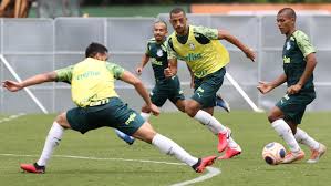 6,5 o destino deu uma mão. Ponte Preta X Palmeiras Informacoes Curiosidades E Retrospecto Do Confronto Palmeiras