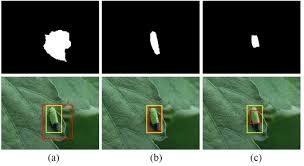 What costs are covered by the scholarship? Localization And Classification Of Paddy Field Pests Using A Saliency Map And Deep Convolutional Neural Network Scientific Reports