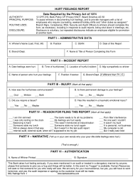 Disclosure disclosure is voluntary but repeated disclosures indicate an employee eligible for promotion at another bank. Hurt Feelings Report Fill Out And Sign Printable Pdf Template Signnow