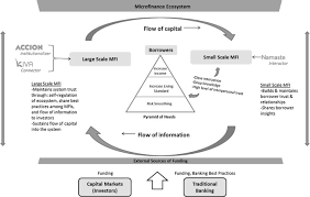 microfinance ecosystem how connectors interactors and