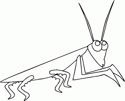 Serta juga gambar sketsa ini bisa kalian pakai untuk komentar anda di facebook buat perang gambar. 10 Ide Gambar Sketsa Semut Dan Belalang Tea And Lead