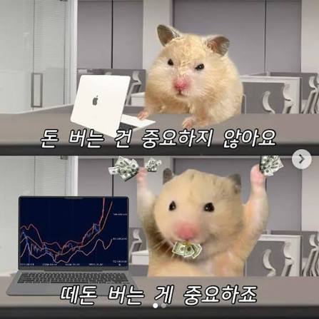 2025 새해 짤 투척 ???????? . . . . . #2025 #새해 #웃긴짤 #웃긴 ...