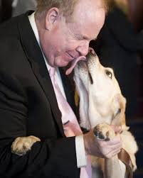 On that fateful Tuesday, sales...