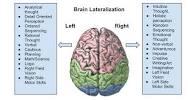 Image of brain right side