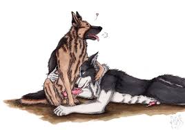 German Shepherd hentai videos, GIFs, and images | R34.app