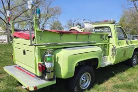 Image result for Green 1981 Truck