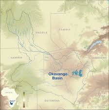 Image result for Chamaeclitandra henriquesiana