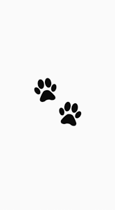 Cute Dogs Tumblr Wallpaper Aderitacristina Miniensaio Miniensaiodiadascriancas Dinding Gambar Gambar Instagram