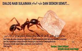 Pada kesempatan lain, nabi sulaiman bertanya pada seekor semut, wahai semut, berapa banyak engkau peroleh rezeki dari allah dalam waktu satu tahun? sebesar biji gandum, jawabnya. Dialog Terapi Urut Dan Belajar Urut Saraf Professional Akm ÙÙŠØ³Ø¨ÙˆÙƒ