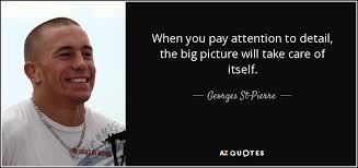 What fun is there to making plans, acquiring discipline, organizing thoughts, devoting attention to detail, and learning to be self critical. Georges St Pierre Quote When You Pay Attention To Detail The Big Picture Will