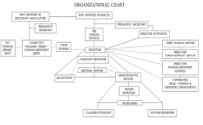 Organizational Chart Nursing Council Of Jamaica