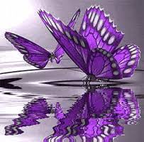 View, download, rate, and comment on 127 butterfly gifs. Animated Butterflies Gifs Get The Best Gif On Giphy
