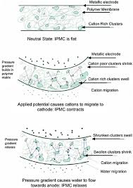 After gluing, you just have to press the low poly, papercraft 3d, paper trophy, human sculpture, diy decor, papercraft templates, home decor, library. Dielectric Elastomers For Actuators And Artificial Muscles Springerlink