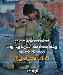 Maybe you would like to learn more about one of these? Arundathi à¶…à¶» à¶± à¶¯à¶­ ÙÙŠØ³Ø¨ÙˆÙƒ