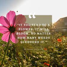 Maybe you would like to learn more about one of these? 55 Inspirational Flower Quotes Beautiful Motivational Sayings With Pictures