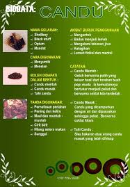Maybe you would like to learn more about one of these? Jenis Najis Shefalitayal