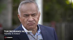 Ko te nuinga o ngā tamariki kua tūkinotia e te Kāwanatanga ko Ngāi Māori.” 