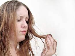 kaputtes haar wieder gesund pflegen hausmittel und tipps kaputte haare haarkur haarschonheit