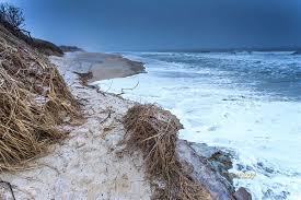 Birds Of Cape Cod National Seashore Coast Guard Beach After Winter Storm January 21 2019 Coastal Erosion Efects At Coast Guard Beach Cap Coast Guard Beach Cape Cod Beaches Cape Cod Photography