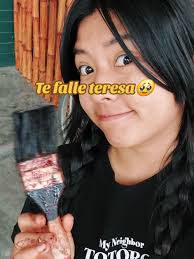 Santuario De Soe Teresa Se Los Andes En Santabarbara