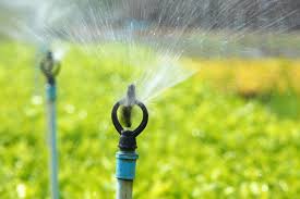 Unlock 20% savings on answer a few questions about your home project. Landscaping Grapevine Tx Top Rated 817 405 6803