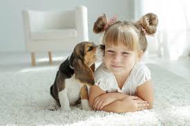 This story was originally published. 11 Best Small And Low Maintenance Pets For Kids To Consider