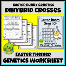 Invalid genotype 😢 please ensure you entered the. Dihybrid Cross Worksheet Teachers Pay Teachers