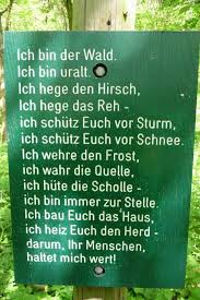 Ein Pladoyer Fur Den Wald Nature Quotes True Words Quotes