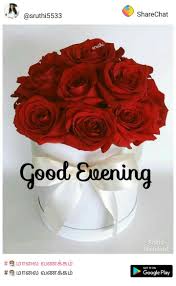 Pin By Karyn Chung On Good Evening Good Evening Greetings Good Evening Love Evening Greetings