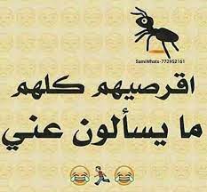 pin by ahmad abdelsalam on اضحك من قلبك words jokes funny