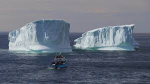(en) iceberg dell'artico e dell'antartico, su solcomhouse.com. It S Just Magical Lots To See In Iceberg Alley Off Northern Newfoundland Citynews Toronto