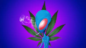 Stoner pc wallpaper for mobile phone, tablet, desktop computer and other devices. Stoner Hintergrunde Stoner Wallpaper 1280x720 Wallpapertip