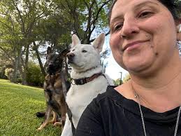 What temporary lodging options are available for a displaced person with a  dog?