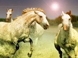 Download live horse wallpaper gallery. Free Horse Wallpaper 3d 1600x1200 Download Hd Wallpaper Wallpapertip