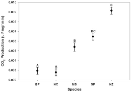 aquatic respiration as a potential survival mechanism of