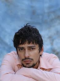 Diary of a Wimpy Kid (2010)