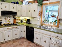 Rta cocoa flat panel cabinets. Classic Cupboards Paint 20 Dark Cabinets Painted To Accent European Style