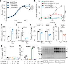 The idea of natural freedom stems from. Dietary Fructose Improves Intestinal Cell Survival And Nutrient Absorption Nature